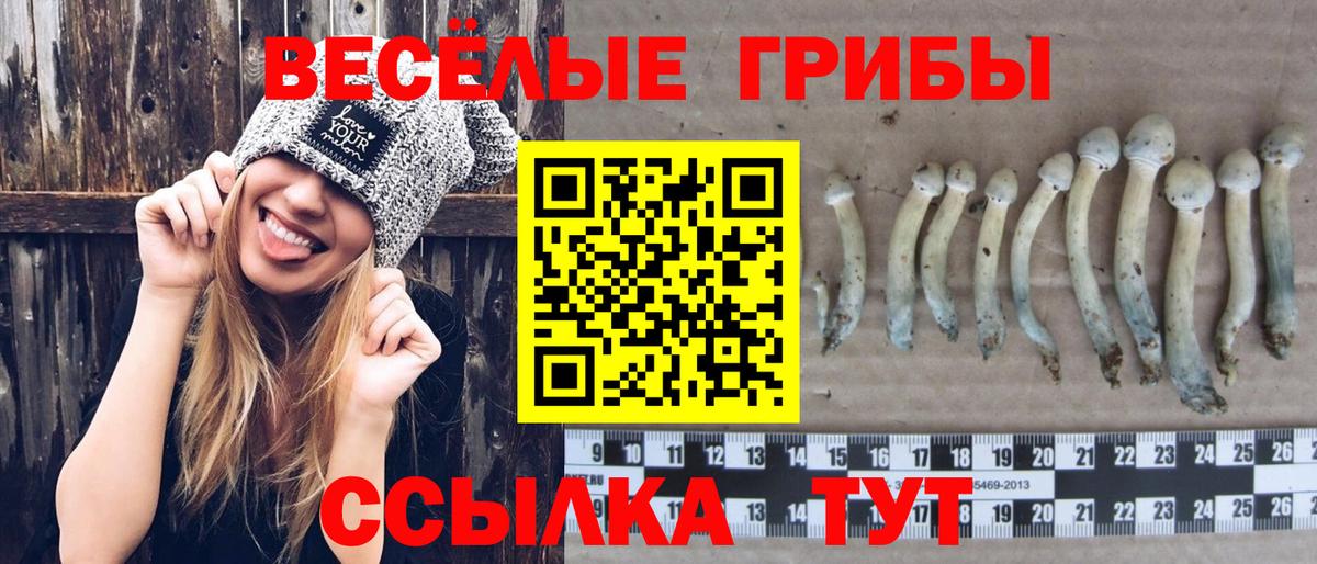 Псилоцибиновые грибы MAGIC MUSHROOMS Пугачёв