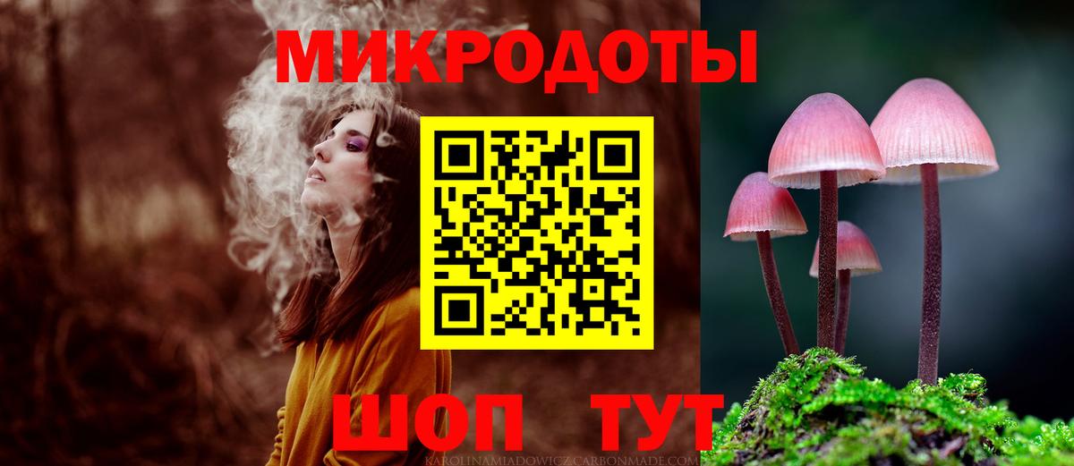 Пугачёв  Псилоцибиновые грибы GOLDEN TEACHER  Вход с VPN 